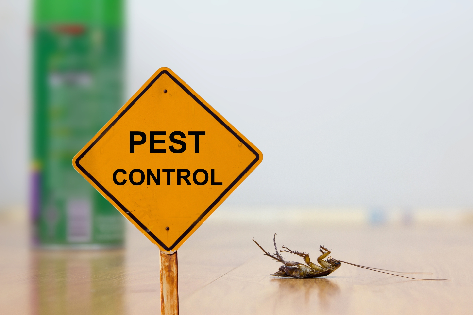 24 Hour Pest Control, Pest Control in Sidcup, DA15. Call Now 020 8166 9746